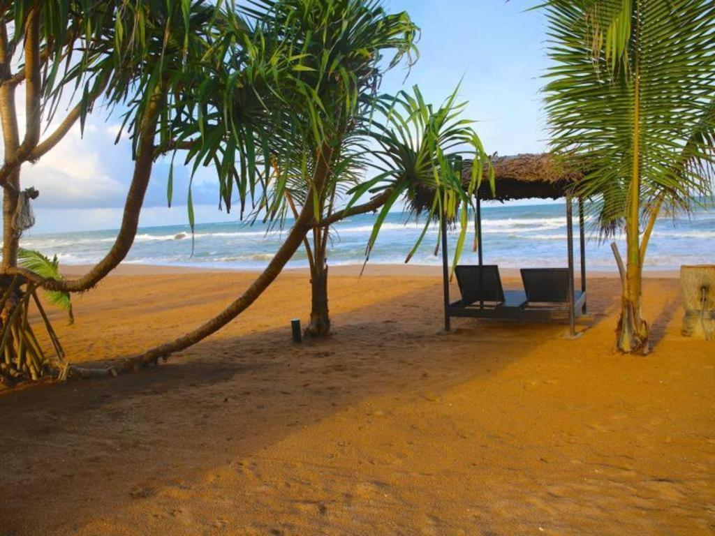 Whispering Palms Hotel Bentota Exterior foto